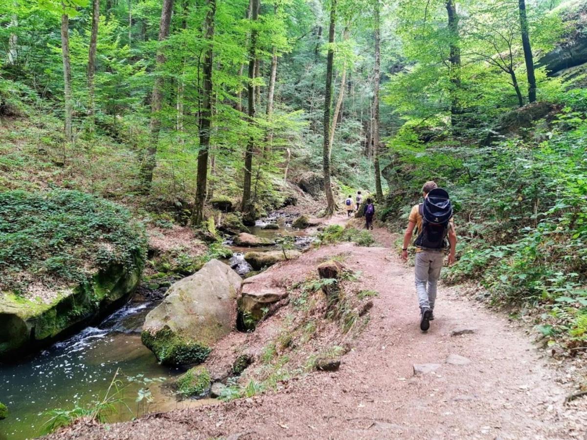 Nice Tent Lodge On A Campsite, Bordering The Forest, Luxembourg At 27 Km Medernach Εξωτερικό φωτογραφία